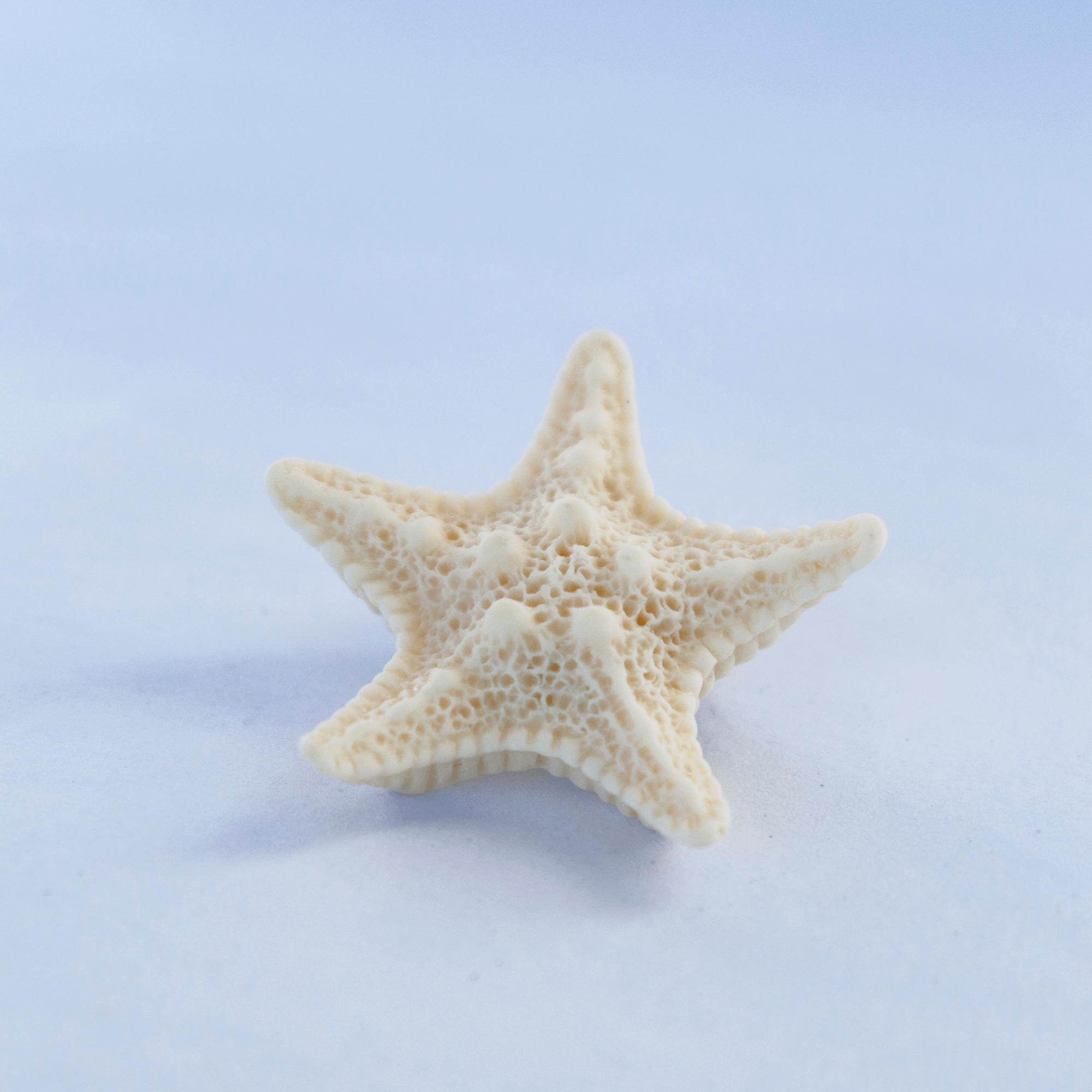 Starfish Hair Clip